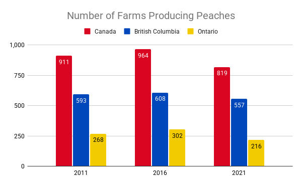 A bar chart showing the number of farms producing peaches in Canada, as well as the provinces of British Columbia and Ontario individually, in the years 2011, 2016 and 2021. Total farms producing peaches in Canada rise from 911 in 2011 to 964 in 2016, then